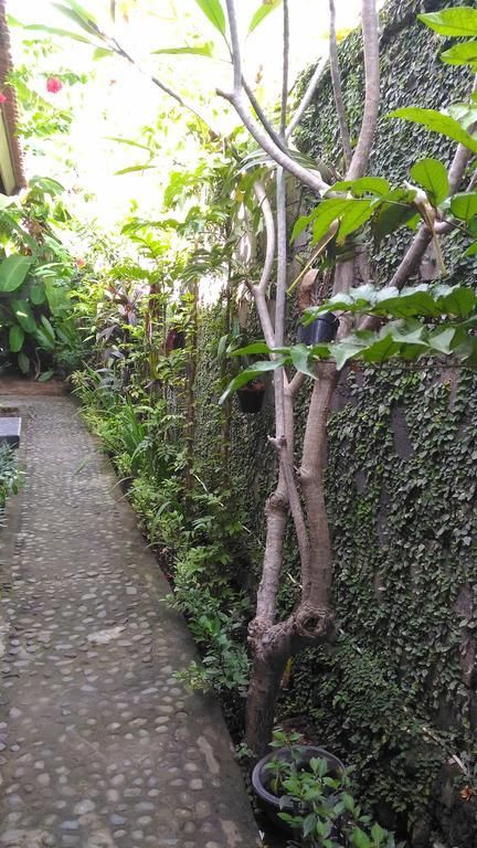 Santa Fe Homestay & Warong Amed  Luaran gambar